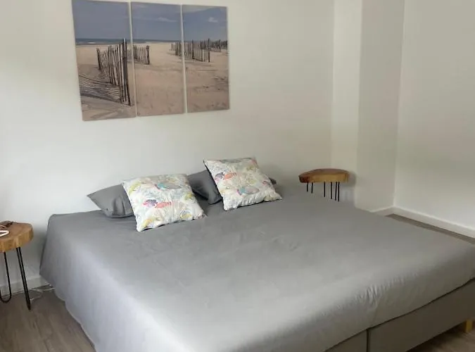 Vita Portucale ! Nook Beach